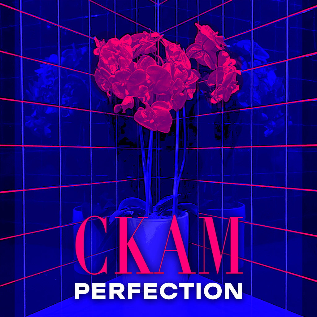 CKAM - Perfection COVER